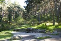 bf0973fe249cc7635dd9962273495a10